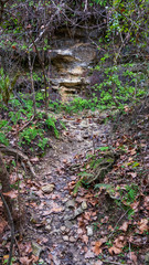 Small path worn from running water, leading to rock face in side of hill showing yellow rock exposed by weathering