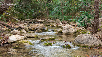 Naklejka na ściany i meble Calm section of river with rocks in water and on banks, in forest woods