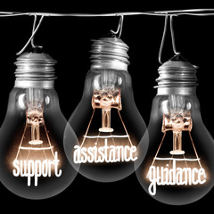 Light Bulbs Concept