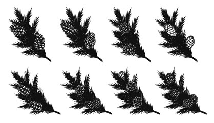 Set of pine leaf silhouette on white background.Black leaf vector by hand drawing