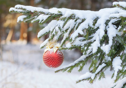 the Christmas fir-tree in snow is decorated with toys