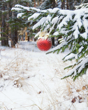 the Christmas fir-tree in snow is decorated with toys