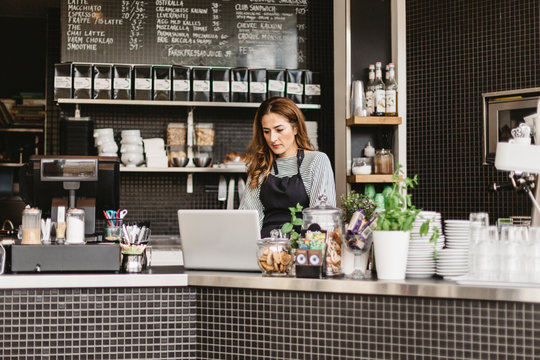 Barista using laptop at cafe counter