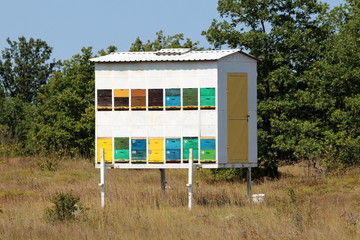 Homemade improvised backyard colorful beehive mounted on makeshift trailer and left on meadow...