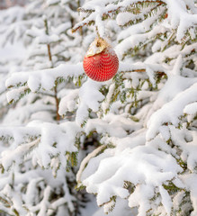 Christmas sphere on a snow-covered fir-tree