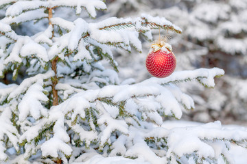 Christmas sphere on a snow-covered fir-tree