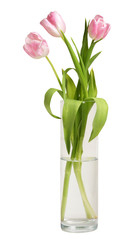 Bouquet of tulips and in vase isolated on white
