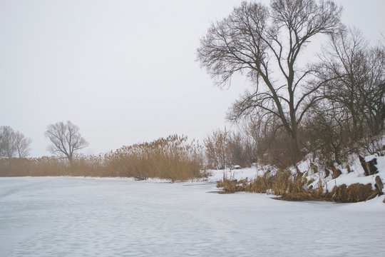 Winter frozen river with fog in the morning.