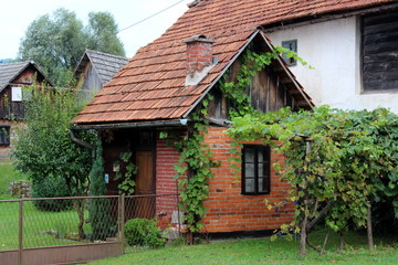 Fototapeta na wymiar Very small red bricks garden house with wooden doors and window frame surrounded with crawler plants and freshly cut grass in front and family houses in background