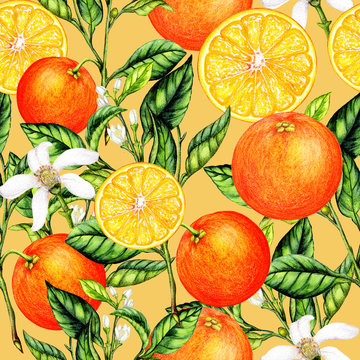 Seamless pattern of watercolor orange fruits