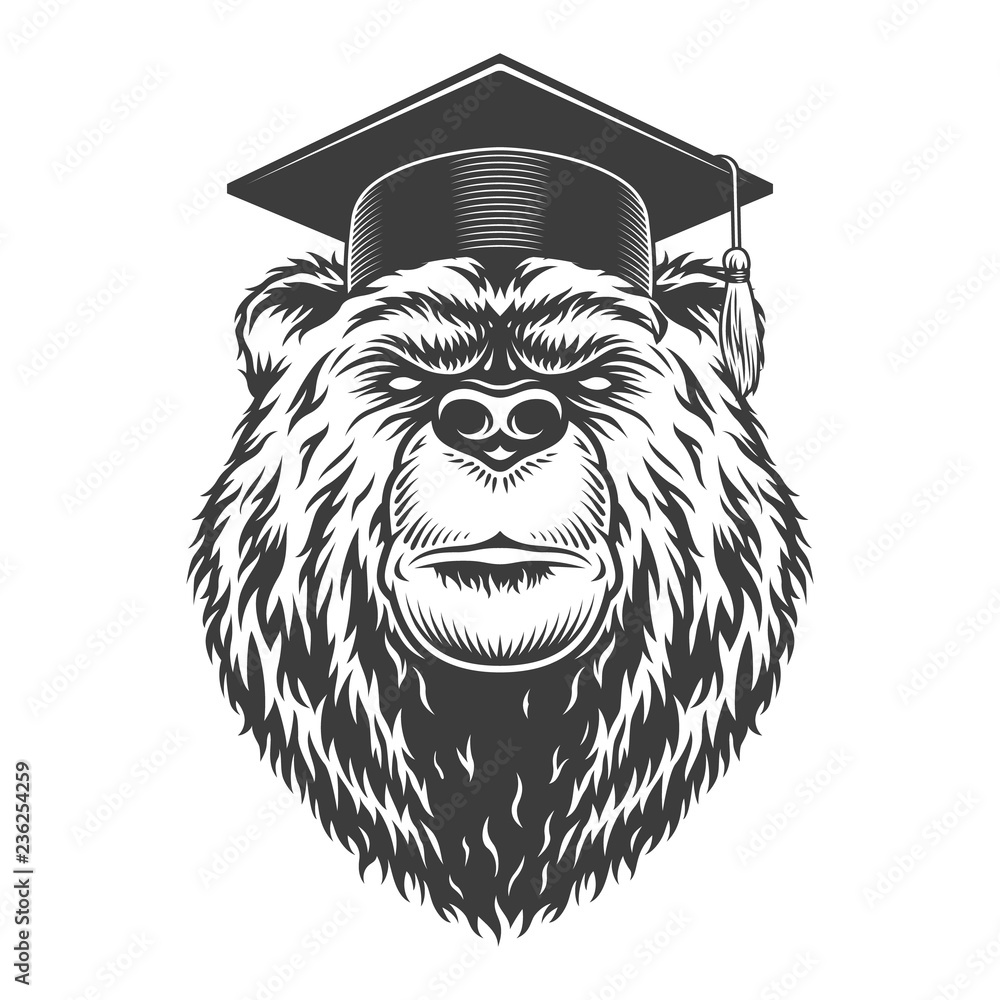 Wall mural vintage monochrome graduate bear head