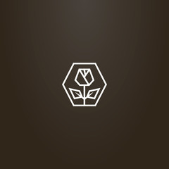 white sign on a black background. vector line art geometric sign rose in hexagon frame