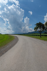 asphalt road and green tree in countryside