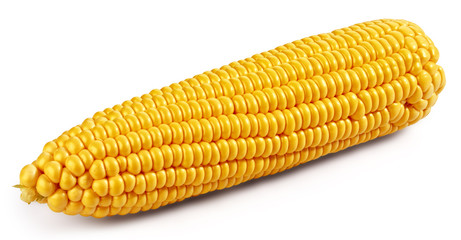 Corn on the cob kernels