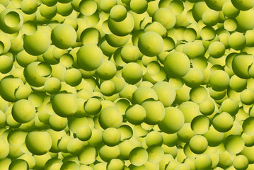 The texture of green grapes. Many grapes on a green background.