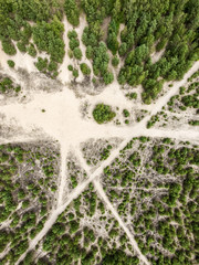 Aerial photograph of an area in the north German heath, which is destroyed by the lanes of motorcycles and off-road vehicles, so that the sand is exposed