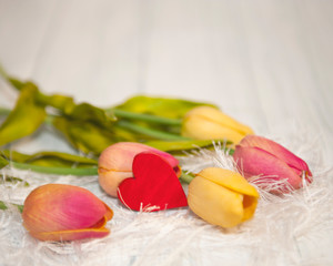 colorful tulips and red heart on white background