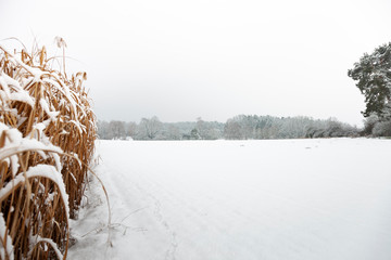 Winterlandschaft bedeckt mit Schnee 
