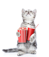 Cute kitten with popcorn and cola looking up. isolated on white background