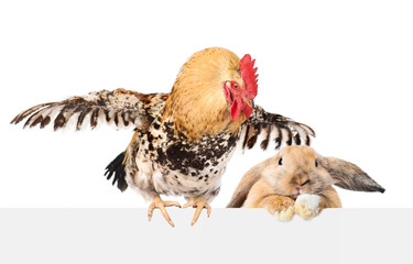 Rooster and rabbit over empty banner. isolated on white background