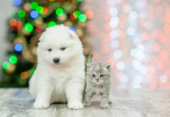 Samoyed puppy and kitten on a background of the Christmas tree. Empty space for text
