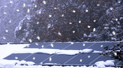 Solarmodule mit Schneeplatten    im nebel