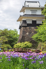 花菖蒲園＠長崎県大村市