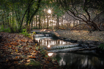 A beautiful woodland stream with starburst reflections of the sun