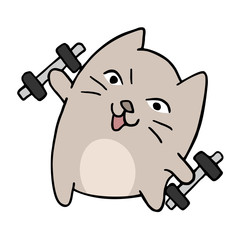 funny cat training