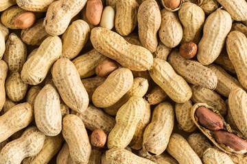 close up of peanuts in their kernel