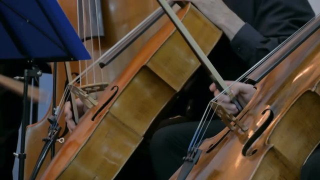 Symphony concert - unrecognizable woman and man playing cello - close up shot. Music and culture concept