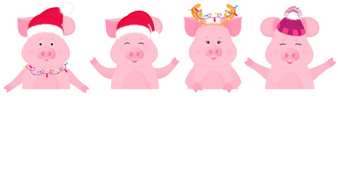 Pigs in Christmas costumes keep blank banner. Santa Claus hat, cap with furry hat.