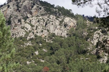 Landscape near Canaglia in the Corsian mountains.