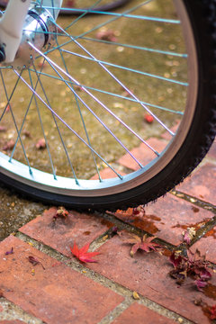 紅葉と自転車の秋イメージ