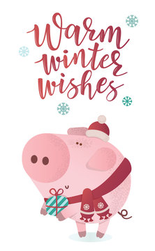 Cute piggy character in a winter scarf with a present.