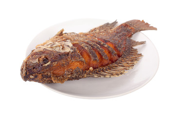 Fried Tilapia fish fried isolated on white background