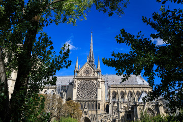 The Notre-Dame de Paris church in France, the view between trees