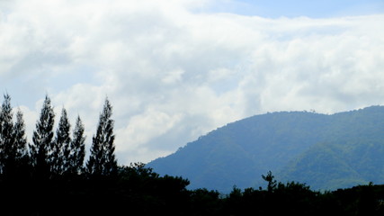 Pictures of tree silhouette cut with mountain ridges Khao Yai National Park, Thailand