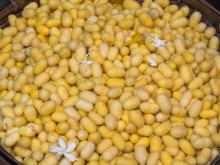 Natural raw yellow silkworm cocoons in bamboo basket.