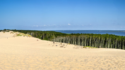 Dunes at Słowiński National Park/Łeba/Poland and view at Łebsko lake