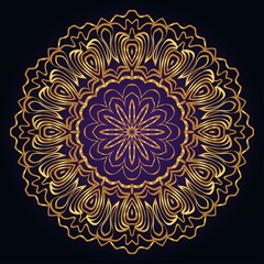 Mandala Style Vector Shapes. Decorative Cicle ornament. Floral design.