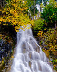 waterfall in the fall season