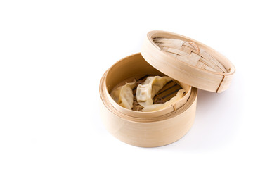 Dumplings or gyoza served in traditional steamer isolated on white background. Copyspace