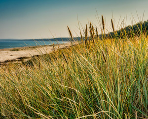 D&uuml;nenlandschaft an R&uuml;gens n&ouml;rdlicher K&uuml;ste