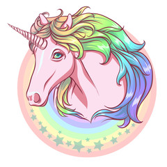 Rainbow unicorn. 