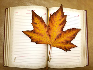 Yellow maple leaf and notepad./
Autumn yellow brown kden leaf and notebook.