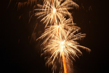 Colorful fireworks at holiday night. Image of salutes.