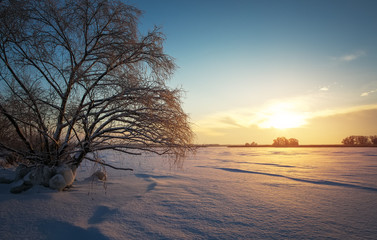 Fototapeta na wymiar Beautiful winter landscape with frozen lake, trees and sunset sky