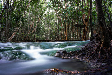 Long exposure photography of river source at The Emerald Pool, Krabi province, south of Thailand country.
