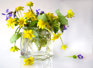Bouquet of yellow and lilac spring colors in green leaves in a glass vase on a white background with reflection in a table. Violets.